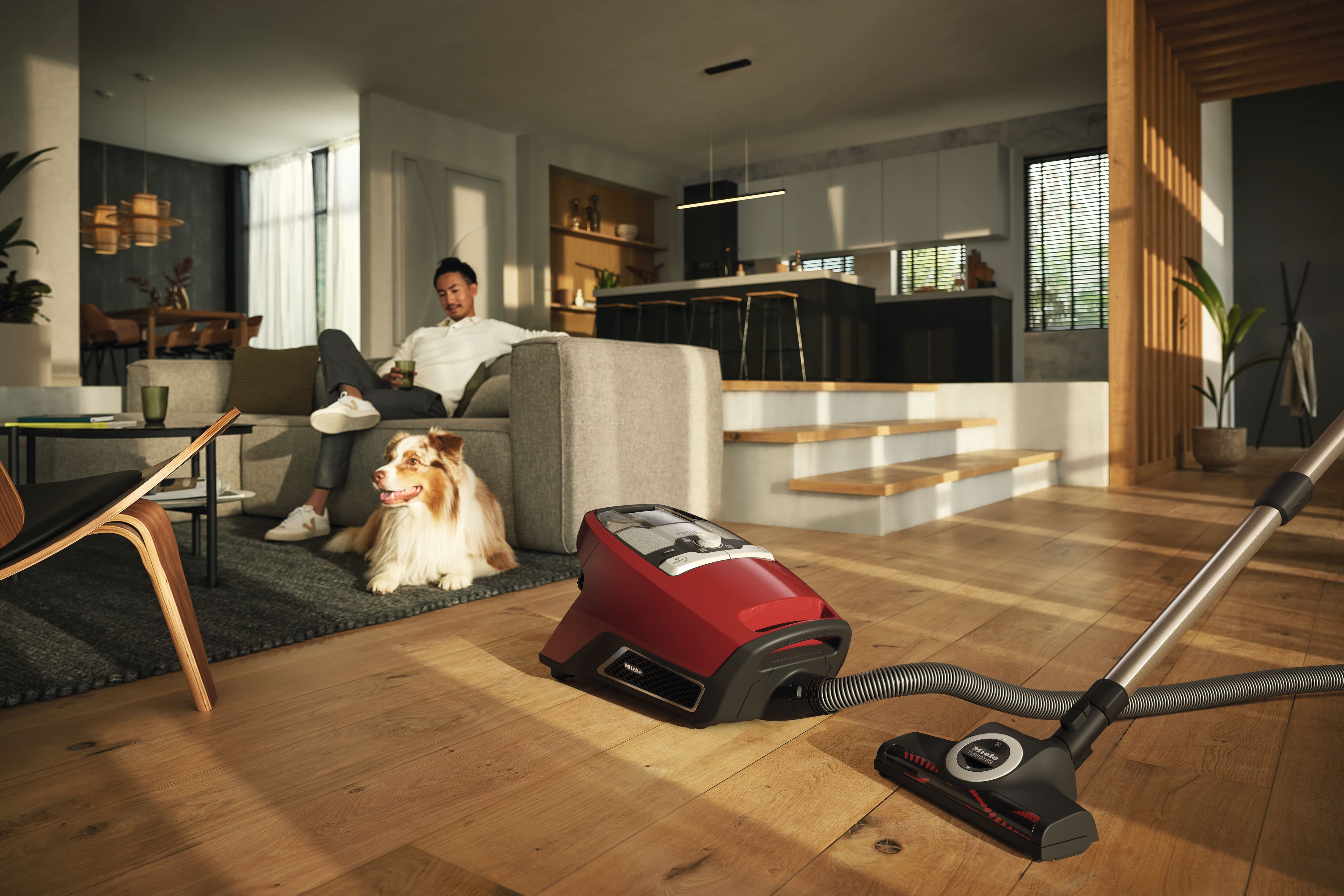 MIELE BLIZZARDCX1CATDOGPOWERLINEMART BLIZZARD stofzuiger zonder zak