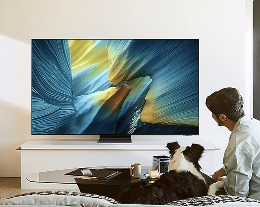 SAMSUNG QE65S95FATXXN televisie 4K UHD - 65''